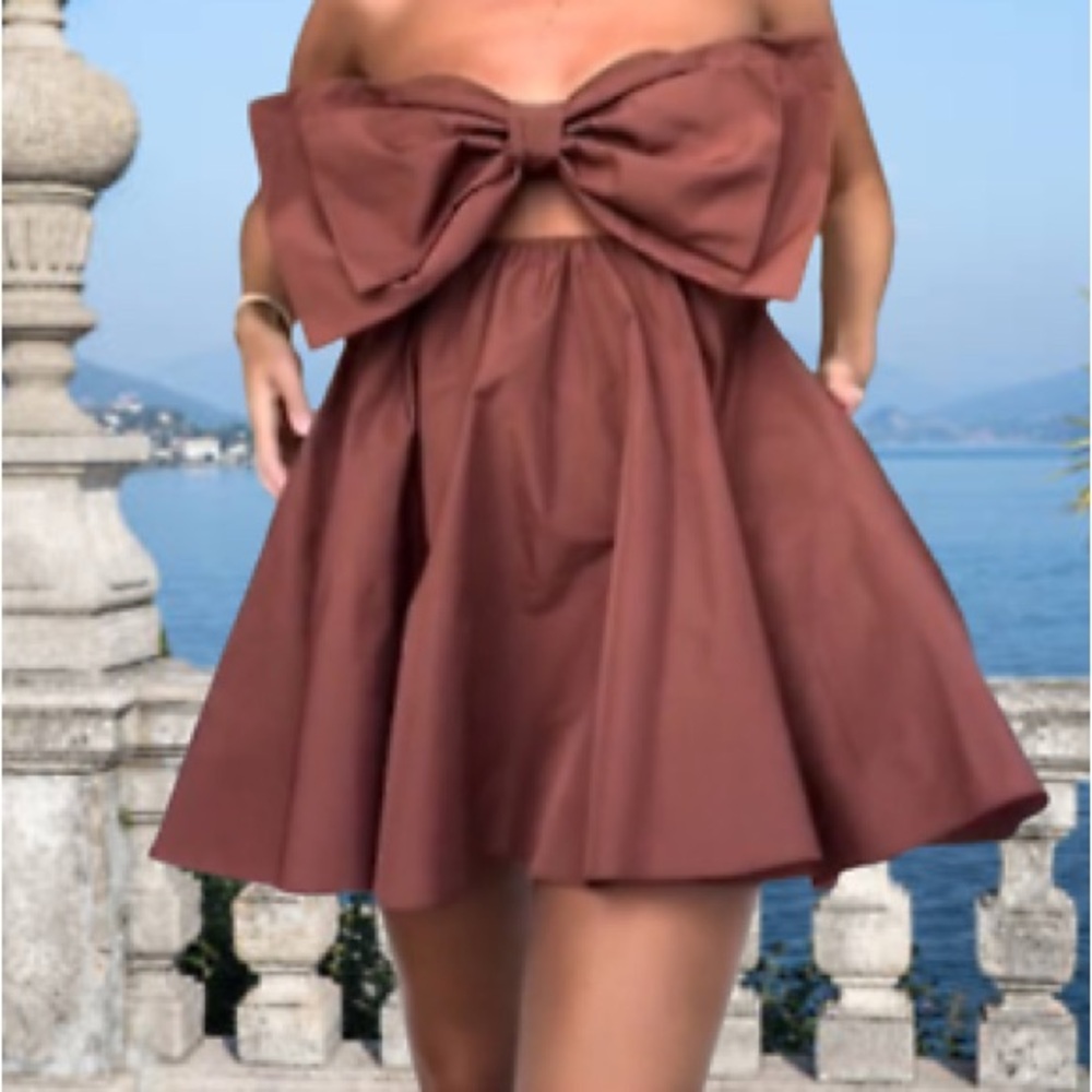 Zara Cutout Bow Dress